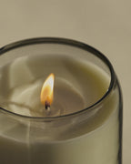 Waxed Perfume Candle - Tui & Kahili - Ashley and Co