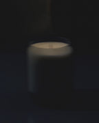 Waxed Perfume Candle - Tui & Kahili - Ashley and Co