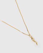 Cornicello Gold Charm Necklace by Arms of Eve - view 2