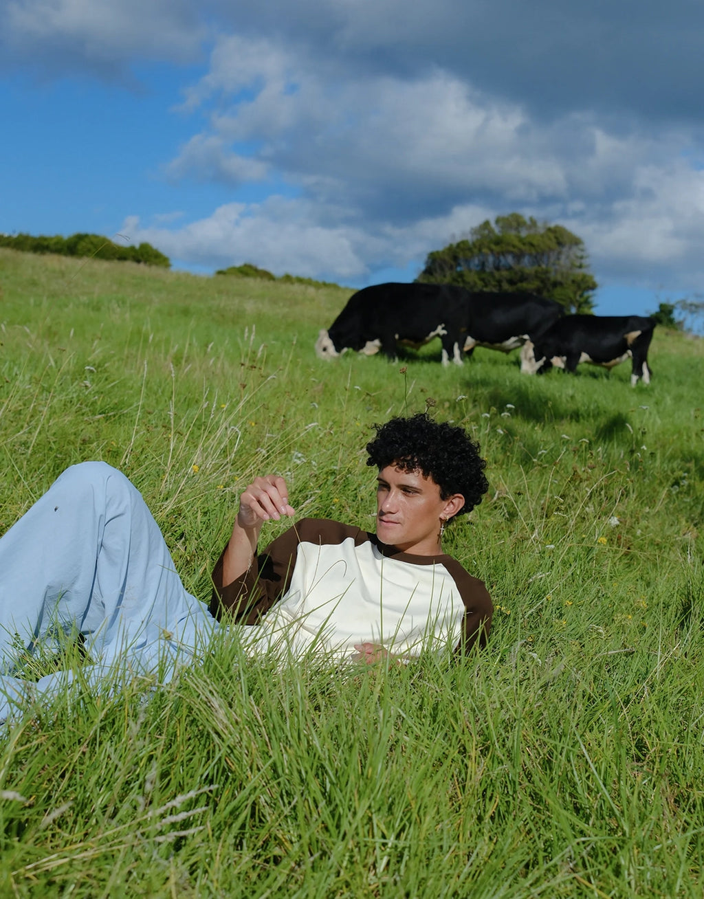 Crew Raglan Jersey- Cream/Brown by Checks Downtown - view 4