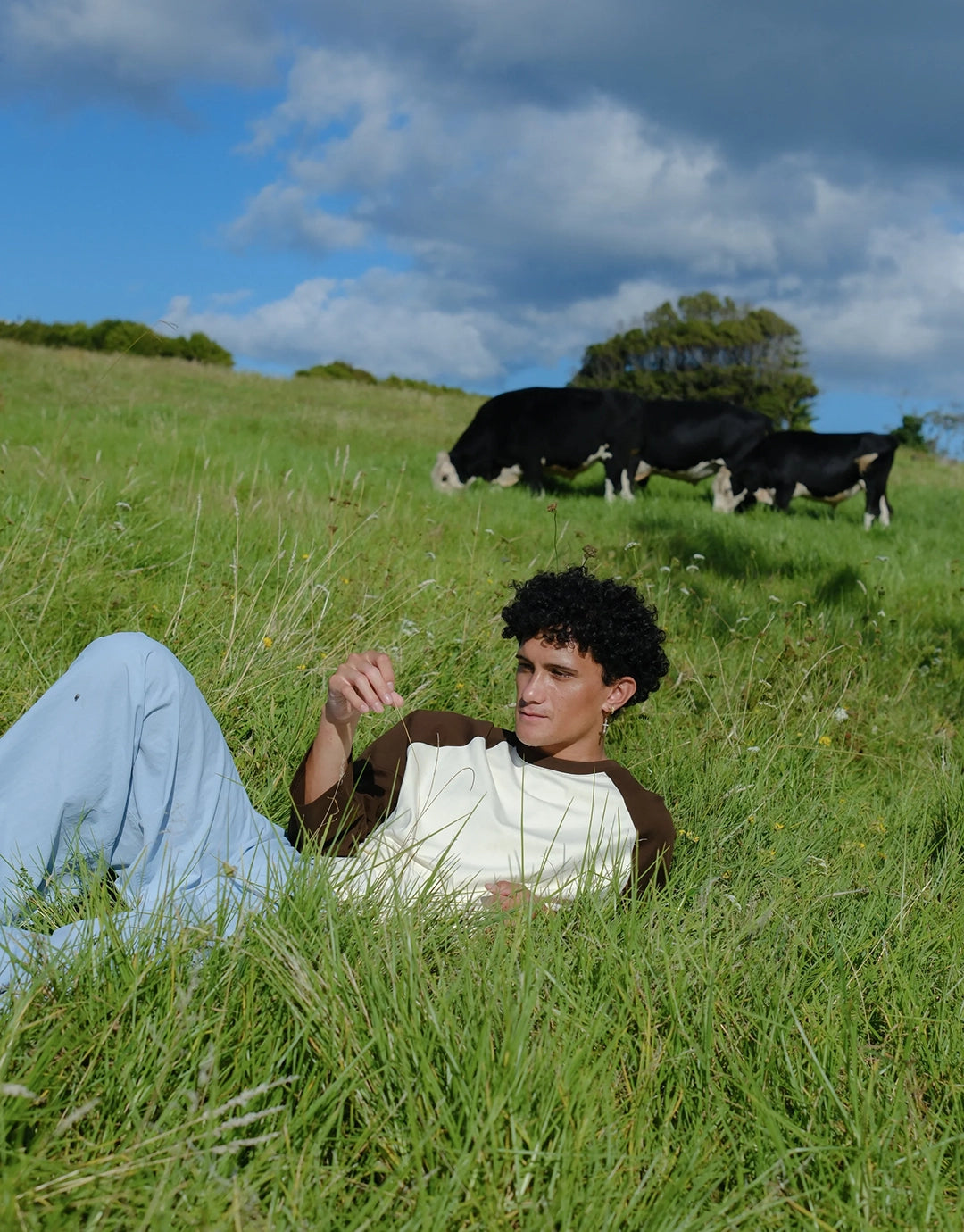 Crew Raglan Jersey- Cream/Brown by Checks Downtown - view 4