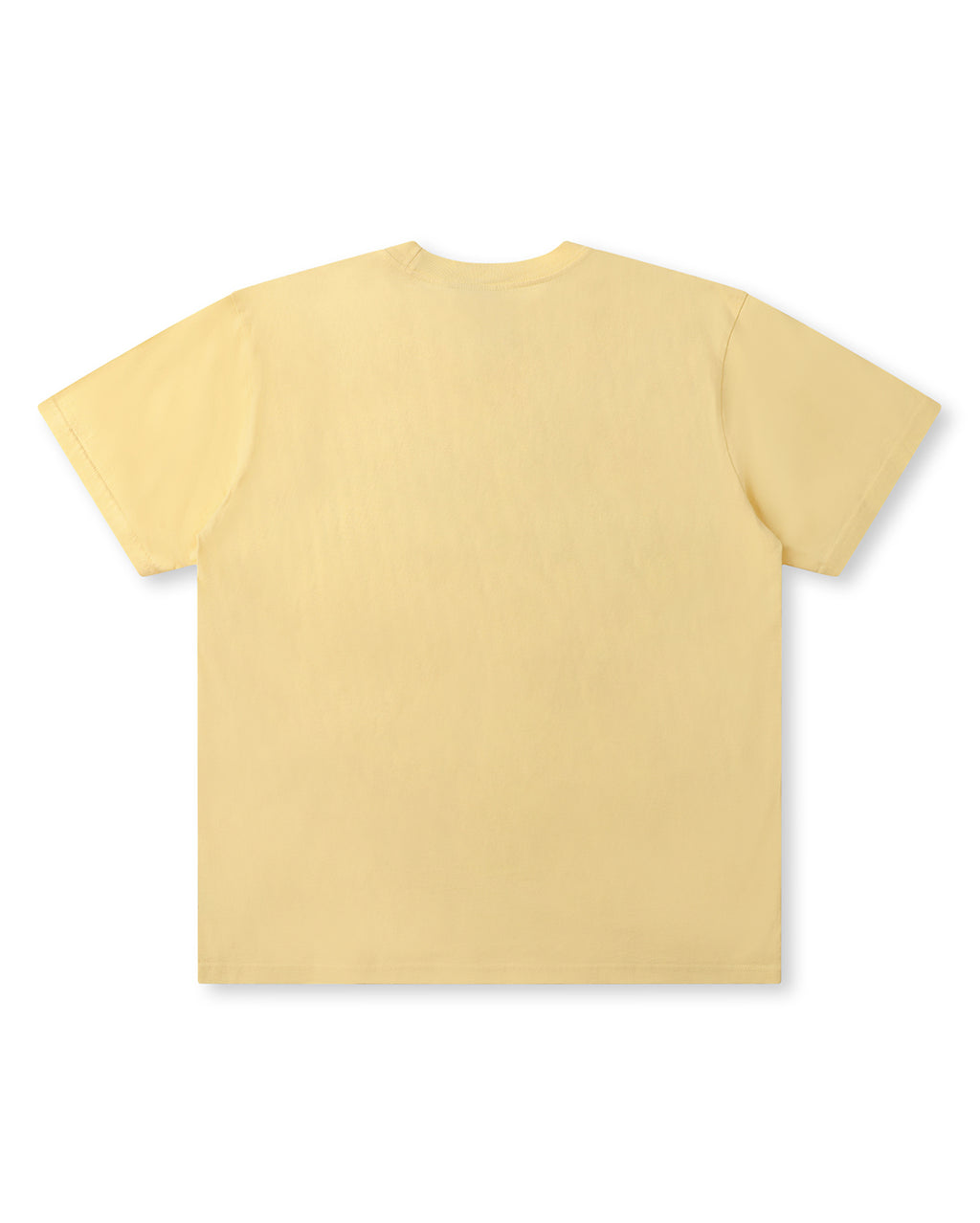 Parliament T-Shirt - Washed Flax
