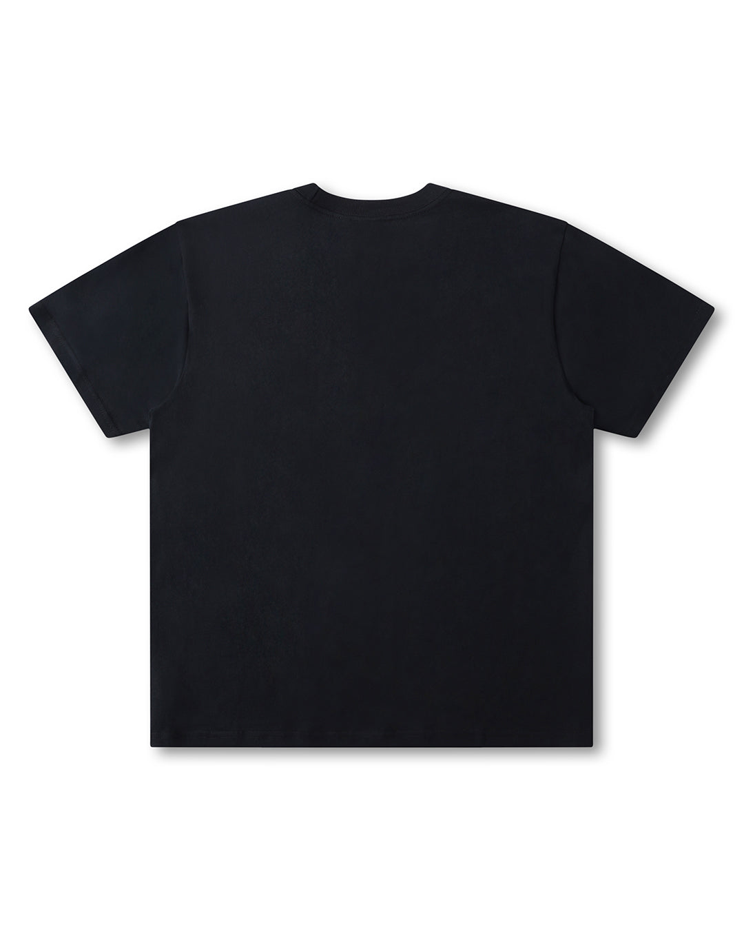 Proscription T-Shirt - Washed Black