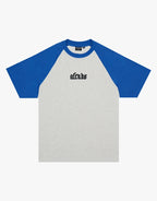 Drop Zone Heavyweight Raglan T-Shirt- Grey Marle by Afends - view 2