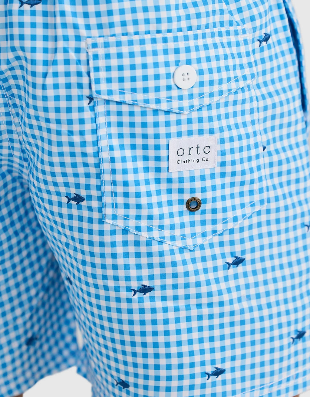 Noosa Swim Shorts - Blue