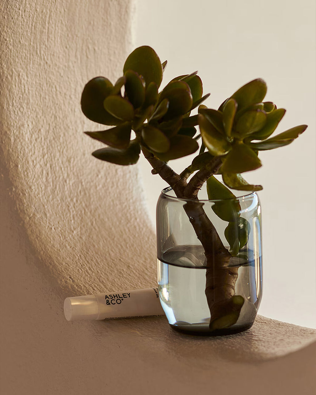 Lip Punch - Citrus Cream 15ml by Ashley and Co - view 4