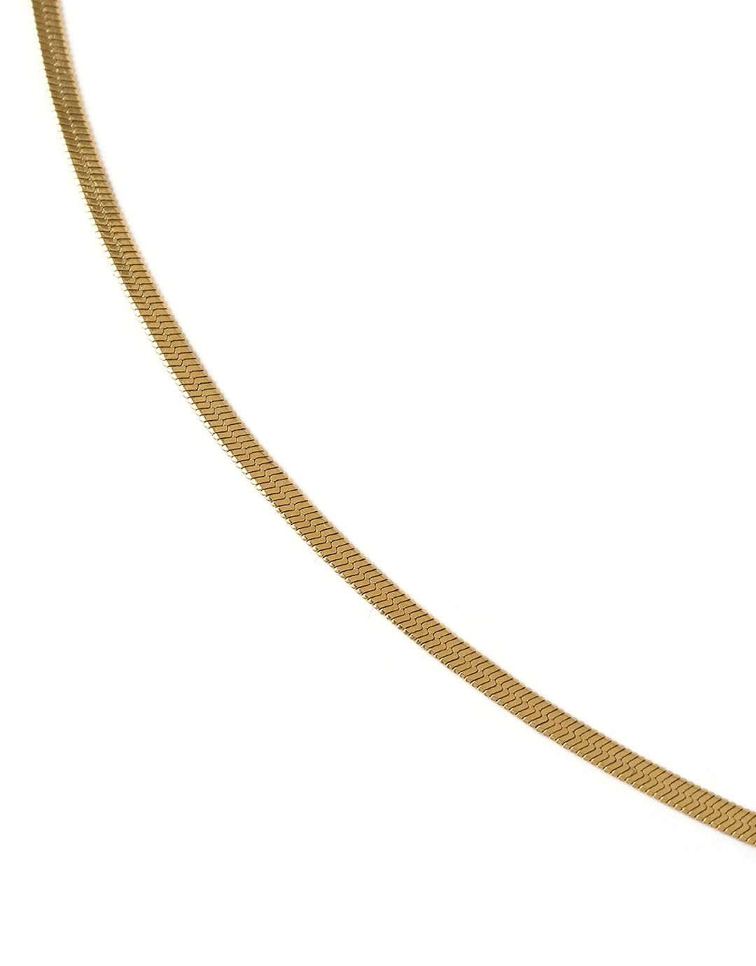 Shayla Gold Snake Chain Necklace