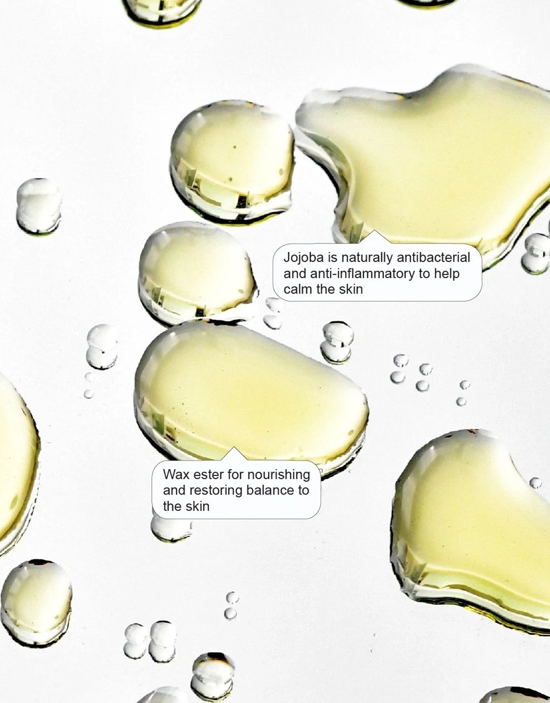 Jojoba Face Oil 50ml