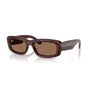 Transparent Dark Brown