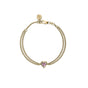 Mystic Quartz / Gold