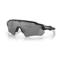 Matte Black/Prizm Black Polarized (special order)