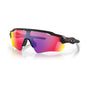 Matte Black/Prizm Road (special order)