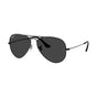 Black/Polarized Black (special order)