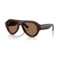 Transparent Dark Brown/Dark Brown (special order)