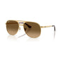 Arista/Polarized Brown Gradient