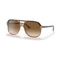Havana On Transparent Brown/Light Brown Gradient (special order)
