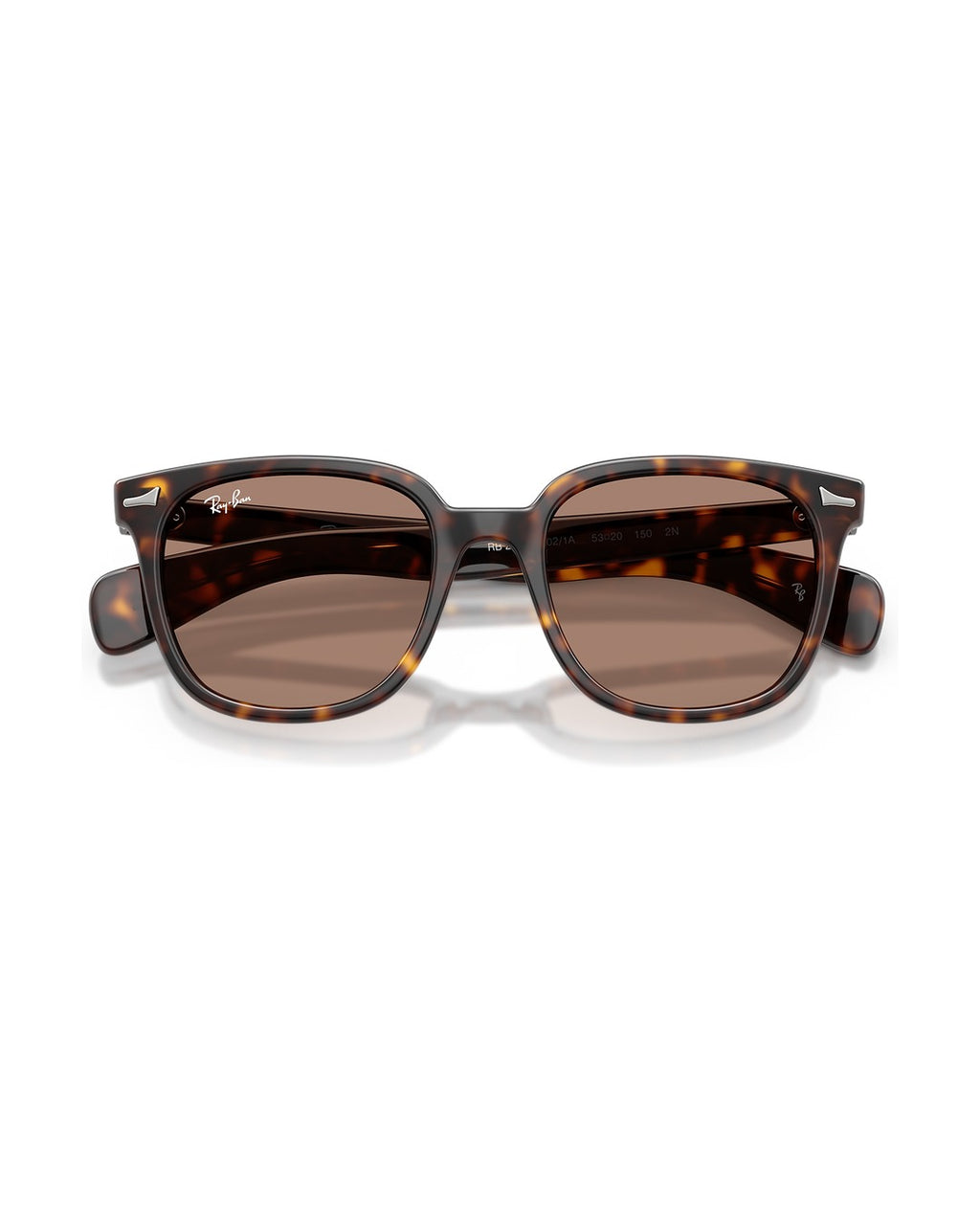 Brunel II Sunglasses - Havana/Light Violet - Ray-Ban