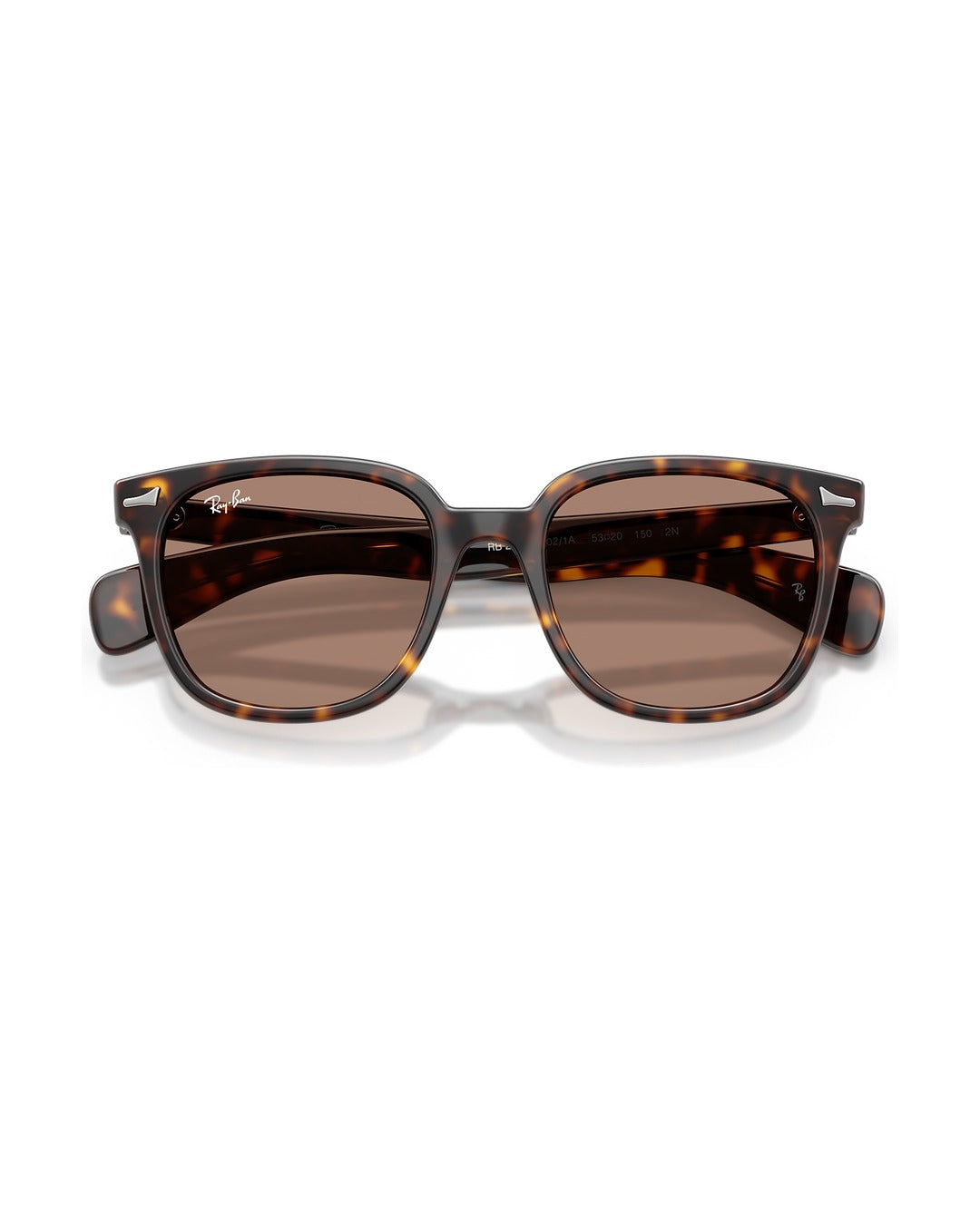 Brunel II Sunglasses - Havana/Light Violet - Ray-Ban