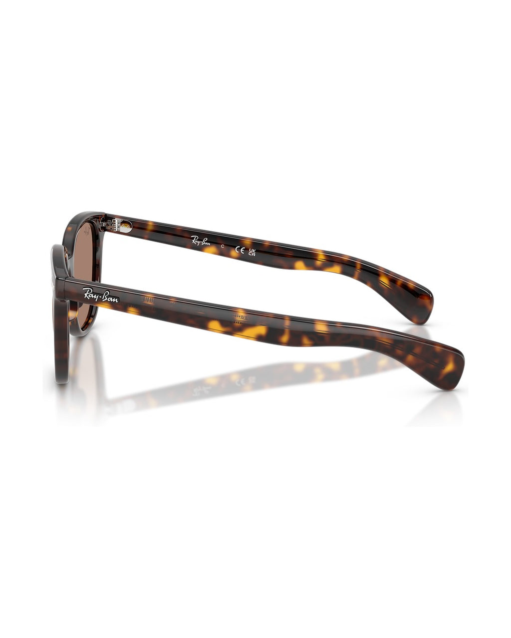 Brunel II Sunglasses - Havana/Light Violet - Ray-Ban