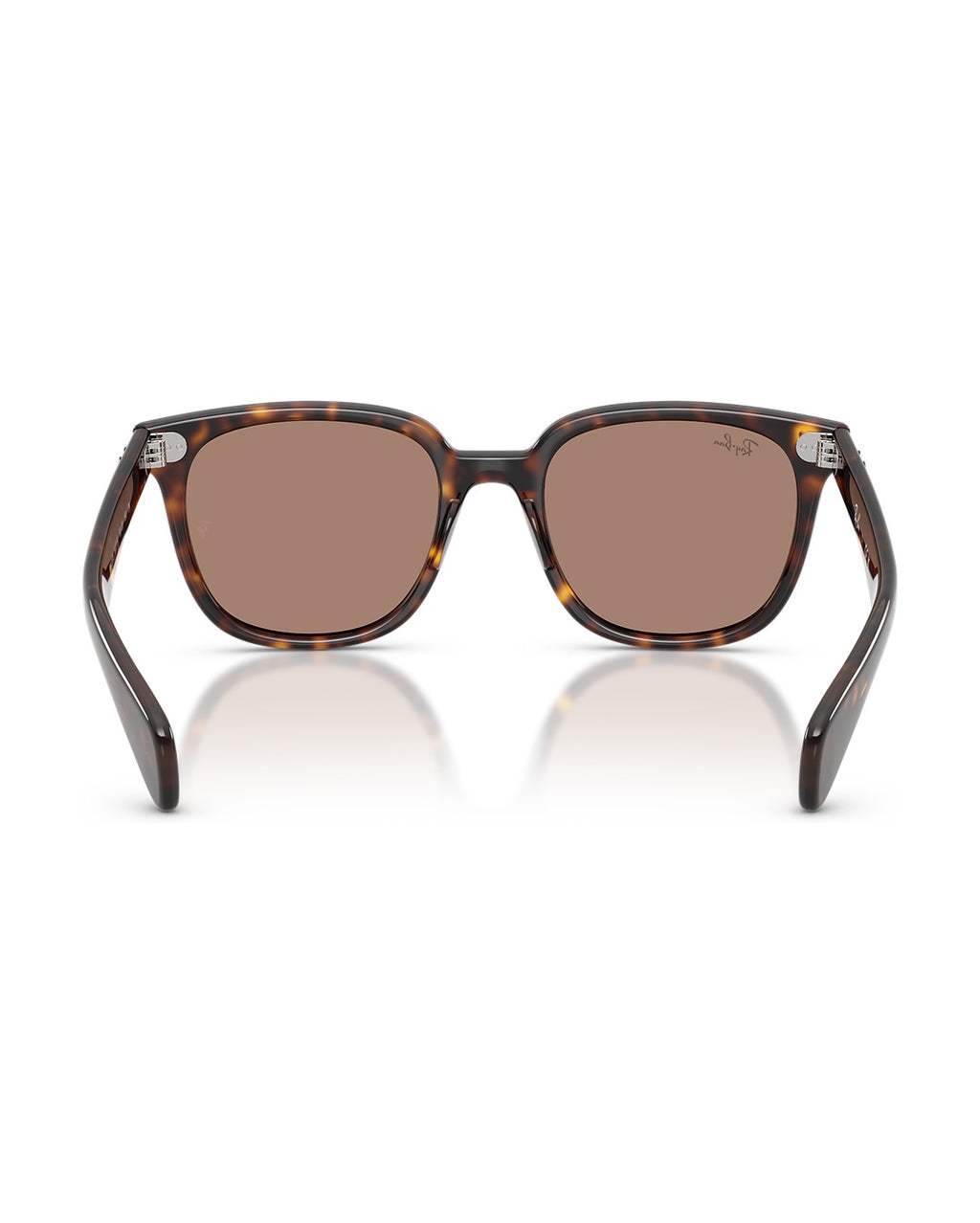 Brunel II Sunglasses - Havana/Light Violet - Ray-Ban