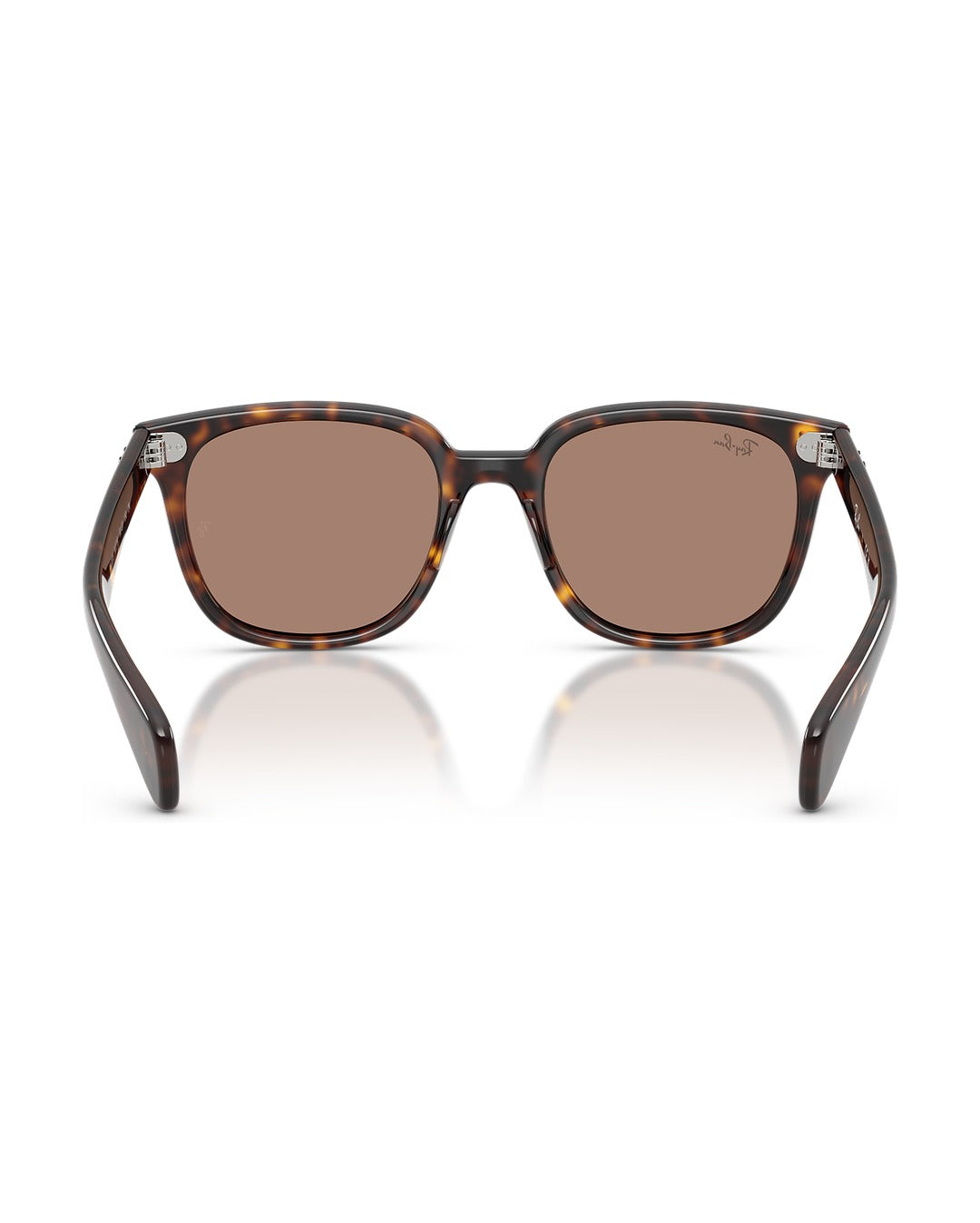Brunel II Sunglasses - Havana/Light Violet - Ray-Ban
