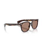 Brunel II Sunglasses - Havana/Light Violet - Ray-Ban