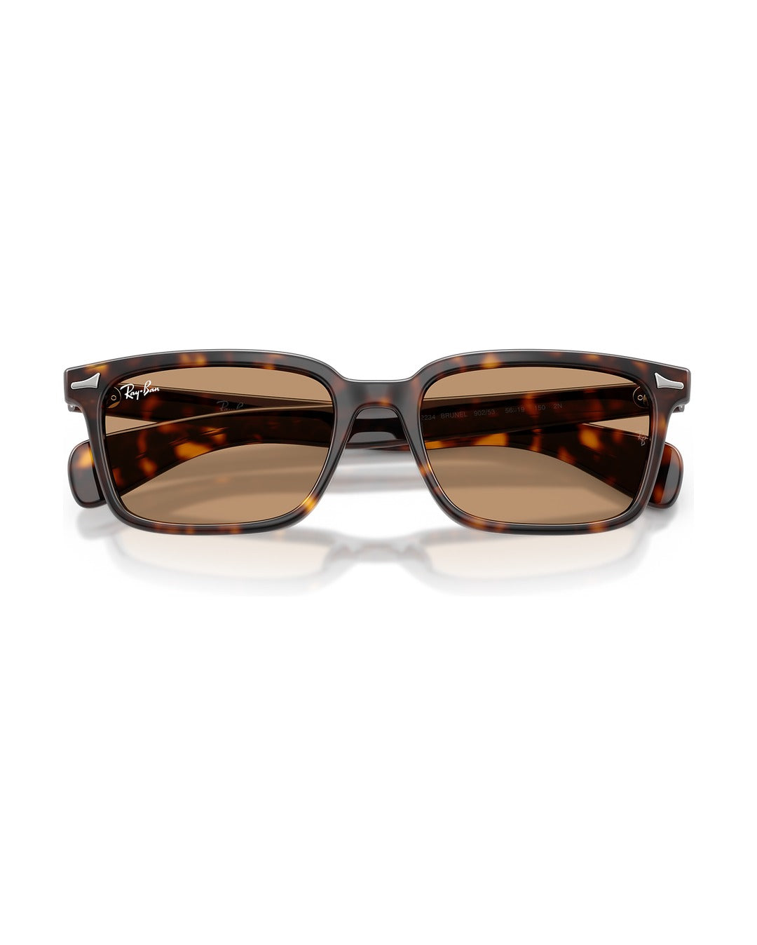 Brunel Sunglasses - Havana/Brown - Ray-Ban