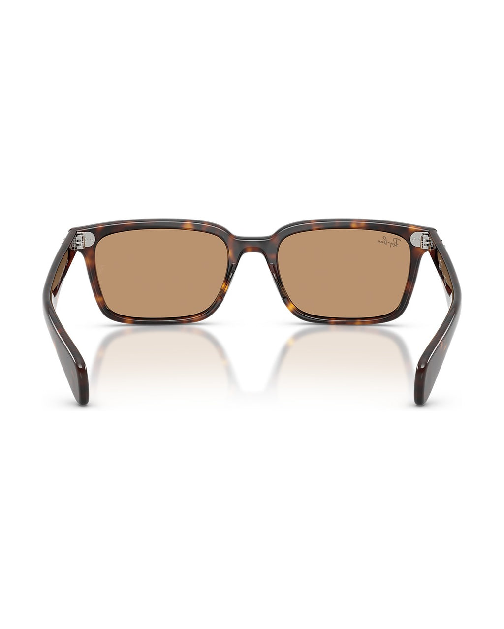 Brunel Sunglasses - Havana/Brown - Ray-Ban