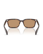 Brunel Sunglasses - Havana/Brown - Ray-Ban