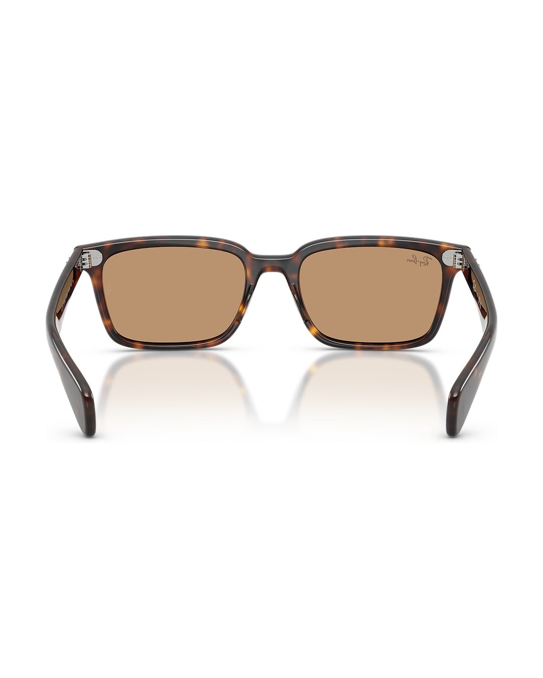 Brunel Sunglasses - Havana/Brown - Ray-Ban