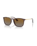 Chris Sunglasses - Transparent Brown/Brown Polarized - Ray-Ban