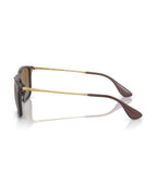 Chris Sunglasses - Transparent Brown/Brown Polarized - Ray-Ban