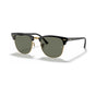 Black & Gold/G-15 Green Polarised (special order)