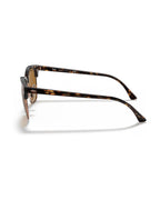 Clubmaster Sunglasses - Havana/B-15 Brown - Ray-Ban