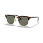 Tortoise On Gold/G-15 Green Polarised (special order)