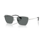 Silver/Dark Grey Polarized (special order)
