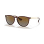 Transparent Dark Brown/Brown Gradient Polarized (special order)
