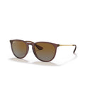 Erika Sunglasses - Transparent Dark Brown/Brown Gradient Polarized - Ray-Ban
