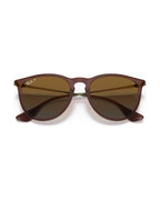 Erika Sunglasses - Transparent Dark Brown/Brown Gradient Polarized - Ray-Ban