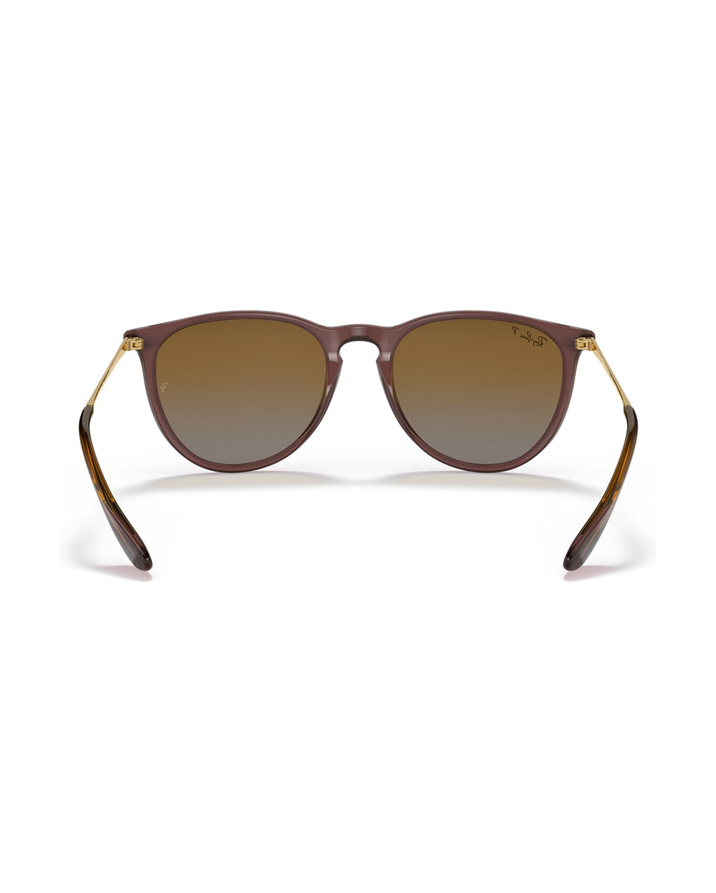 Erika Sunglasses - Transparent Dark Brown/Brown Gradient Polarized - Ray-Ban