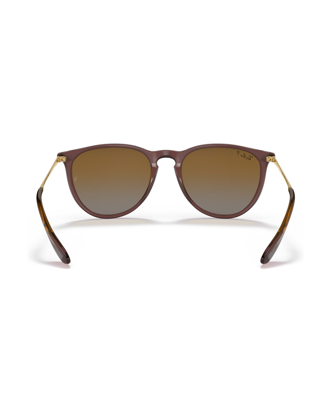 Erika Sunglasses - Transparent Dark Brown/Brown Gradient Polarized - Ray-Ban