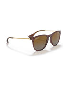 Erika Sunglasses - Transparent Dark Brown/Brown Gradient Polarized - Ray-Ban