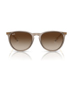 Erika Sunglasses - Transparent Light Brown/Brown - Ray-Ban