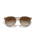 Erika Sunglasses - Transparent Light Brown/Brown - Ray-Ban