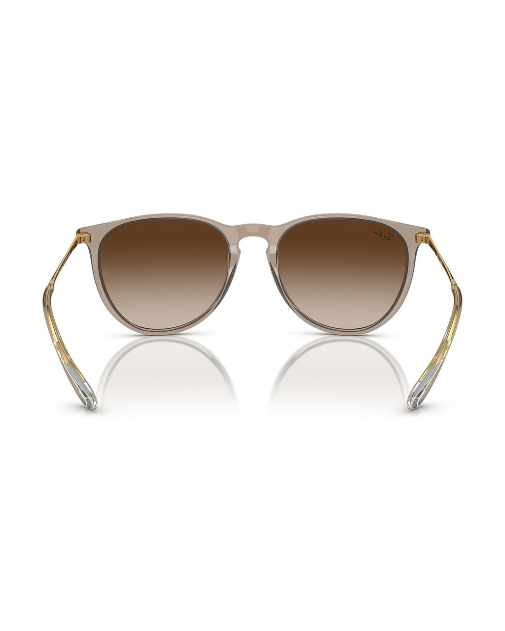 Erika Sunglasses - Transparent Light Brown/Brown - Ray-Ban