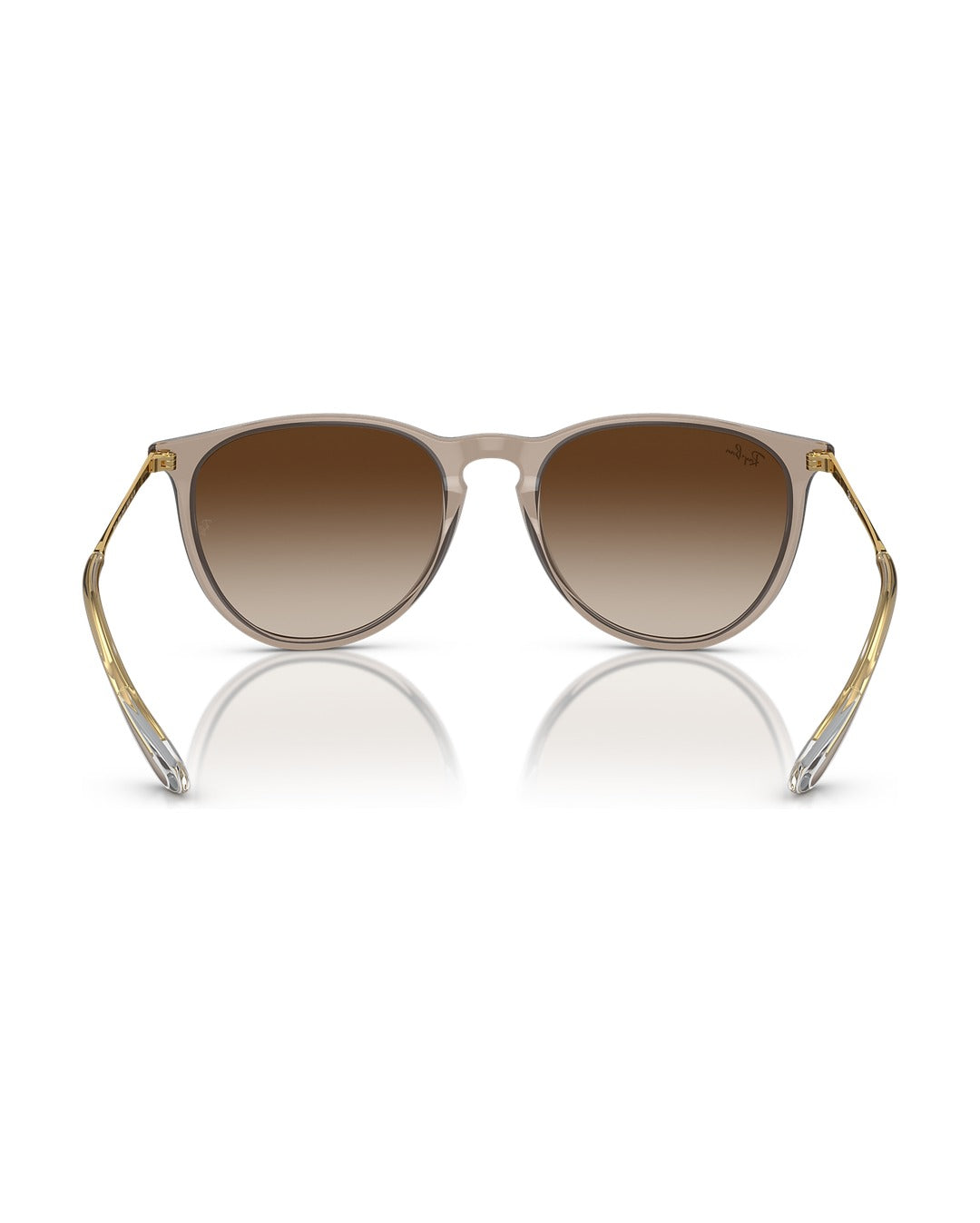 Erika Sunglasses - Transparent Light Brown/Brown - Ray-Ban