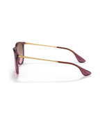 Erika Sunglasses - Transparent Violet/Pink Gradient Brown - Ray-Ban