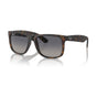 Havana/Blue Polarized (special order)