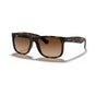 Havana/Solid Color (special order)