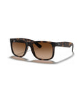 Justin Sunglasses - Havana/Solid Color - Ray-Ban